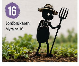 Myra nr 16 – Jordbrukaren