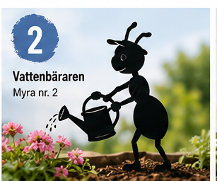Myra nr 2 – Vattenbäraren